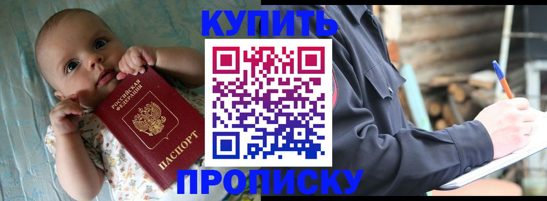 прописка поиск в Сафоново